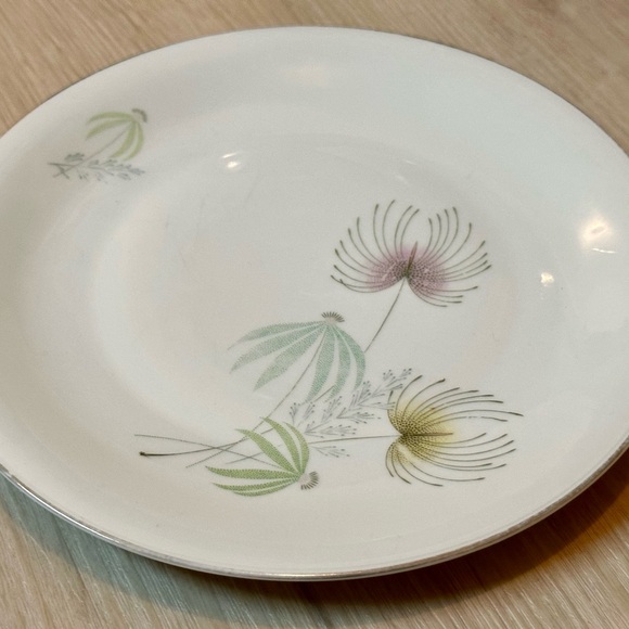 Vintage Bavaria Tirschenreuth Plate – White w/ Floral Design, Silver Rim, Rare - Picture 5 of 16